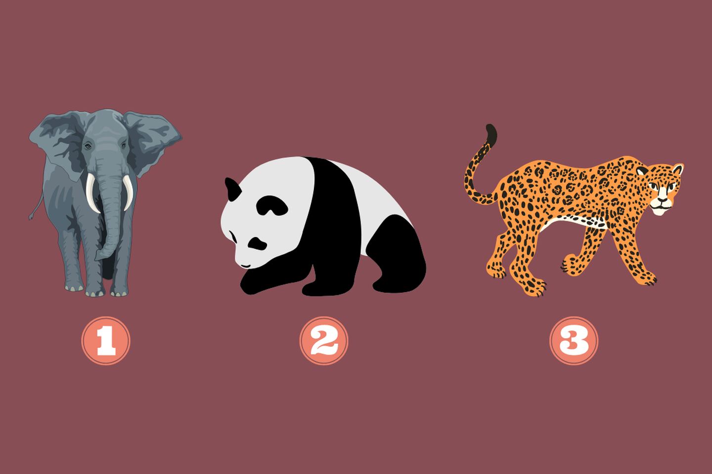 tres opciones en este test de personalidad: un elefante, un panda y un jaguar.