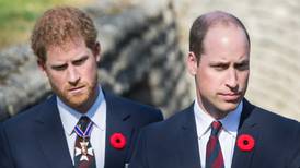 Príncipe Harry y príncipe William podrían reconciliarse gracias a este miembro de la familia real