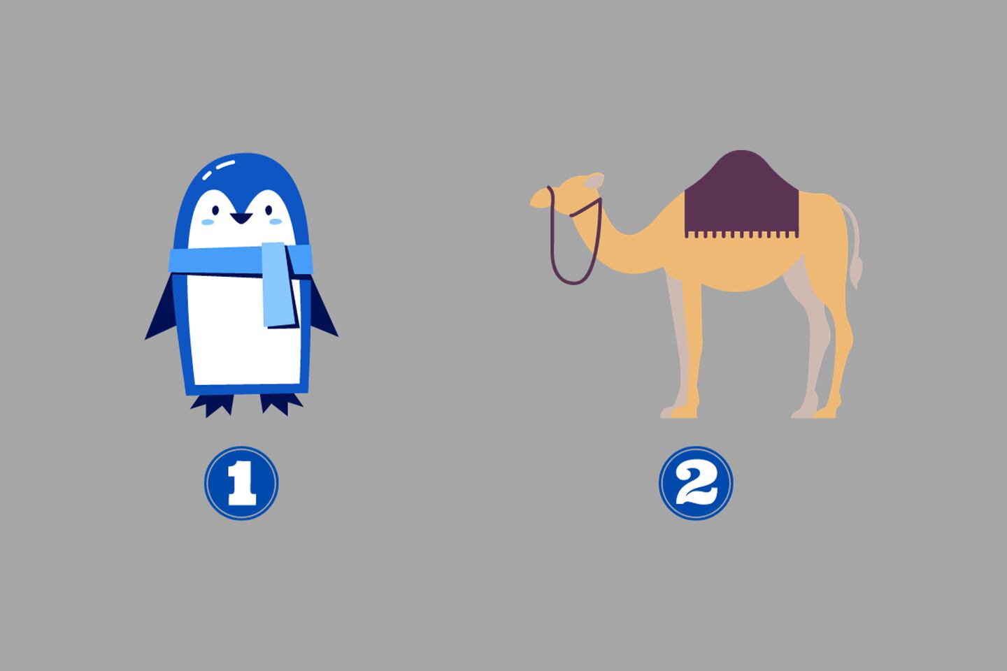 dos alternativas en este test de personalidad: un pingüino y un camello.