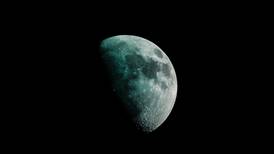 Luna Cuarto Creciente: Conoce de qué se trata esta fase lunar y averigua qué rituales puedes hacer