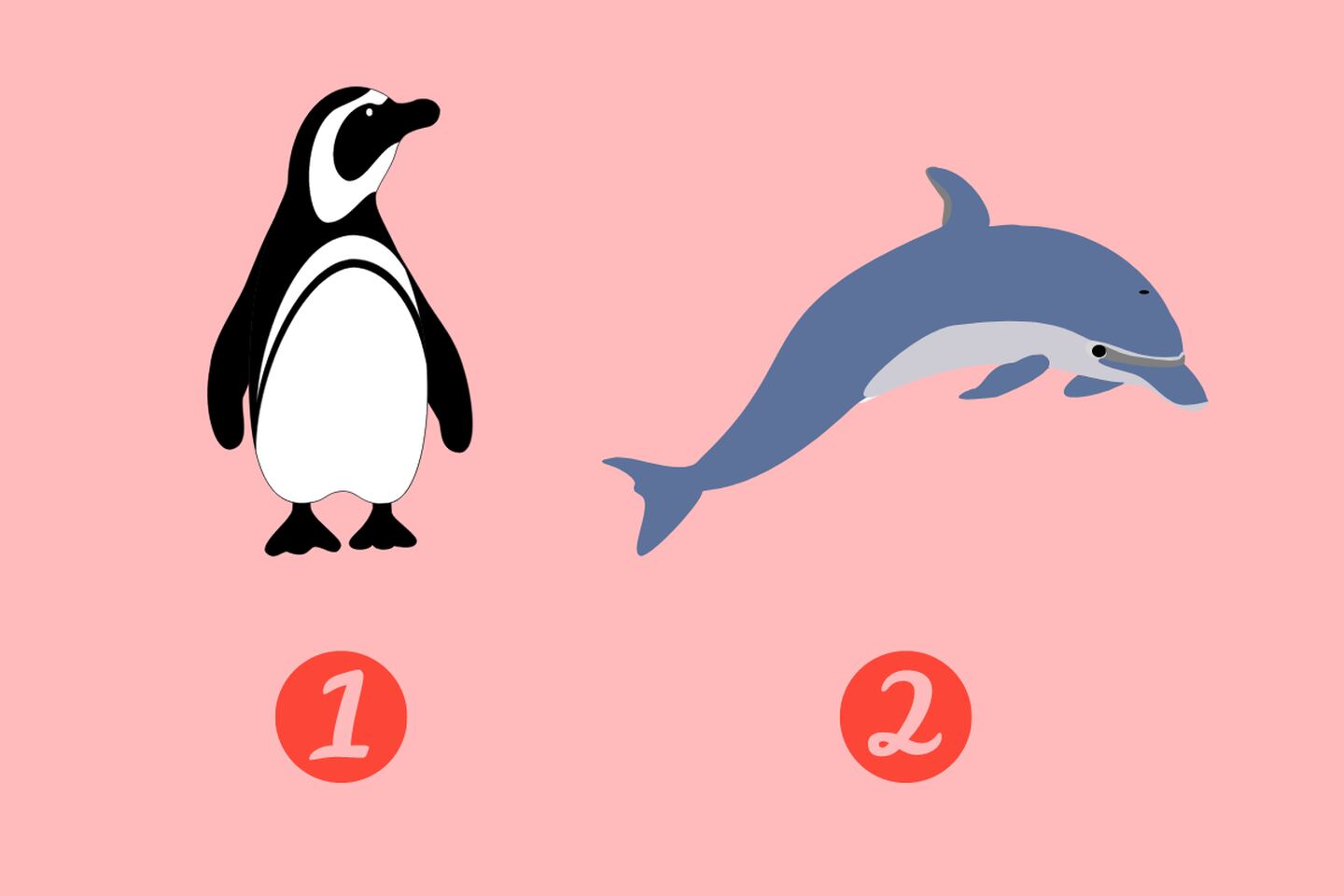 En este test de personalidad hay dos opciones, primero un pingüino y segundo un delfín, el cual definirá qué tan fiel eres.