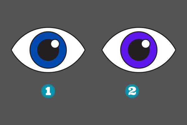 Test de Personalidad: El color que elijas dirá algo sobre ti