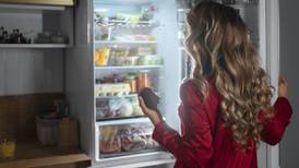 ¿Tu refrigerador ya no enfría? Identifica si le hace falta gas