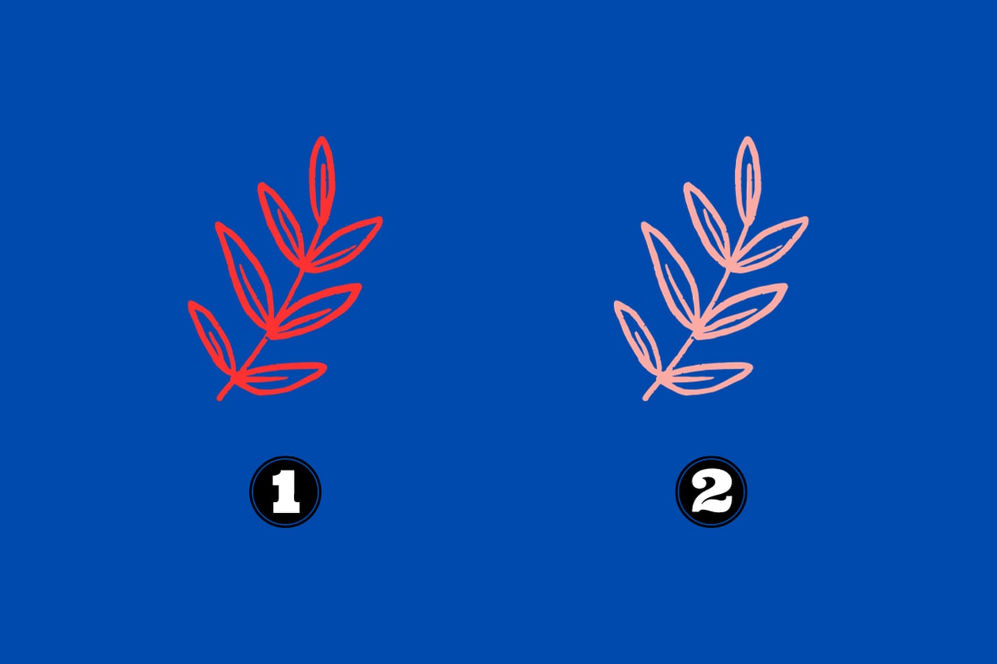 Dos opciones que son hojas iguales, pero la primera es de color rojo y la otra rosado.
