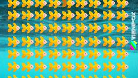 Test visual: encuentra a los 4 peces diferentes en menos de 10 segundos