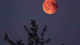 Luna Llena en Acuario: ¿Qué rituales puedo hacer en esta fase lunar?