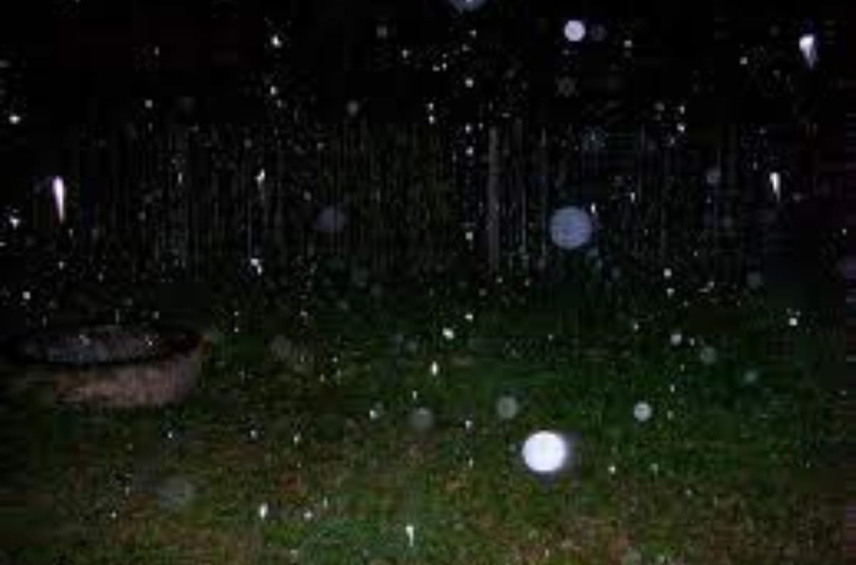 Orbes: Descubre qué son, cómo verlos y por qué se habla de que son fenómenos paranormales