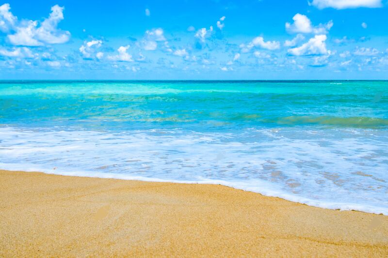 Foto de una playa, en la que se ocultan cinco peces de diferentes colores.