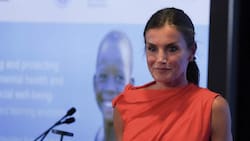 Reina Letizia deslumbra en Nueva York con vestido midi de Zara