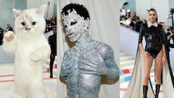 Signos zodiacales: ¿Qué look de la Met Gala 2023 representa a cada uno?
