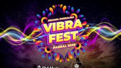 ¿Quién se presenta en el Parral Vibra Fest? Chilevisión transmite en vivo el festival este 6 y 7 de febrero