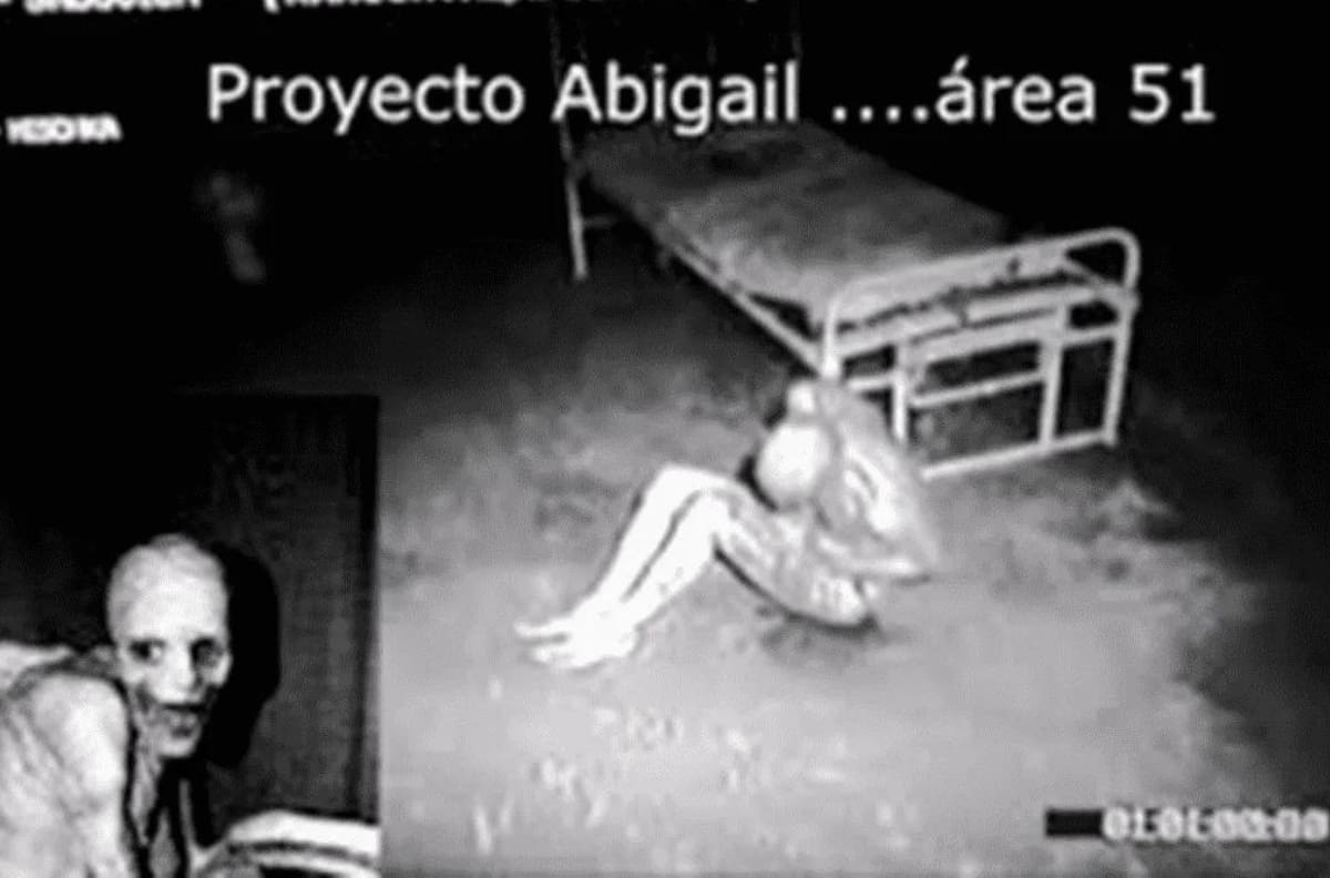 Proyecto Abigail: La mujer a la que convirtieron en monstruo en el Área 51