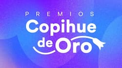 Copihue de Oro 2025: ¿Dónde y cómo votar por tus artistas y rostros favoritos de la TV chilena?
