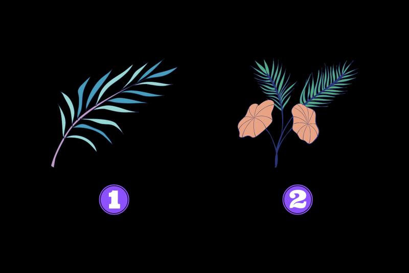 ¿Qué hoja llama más tu atención?