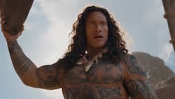 ¡Se viene el panorama familiar del año! Primer vistazo a La Roca en el nuevo tráiler oficial de Moana