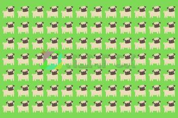 Test Visual: Descubre a los dos cachorros que no tienen la lengua afuera