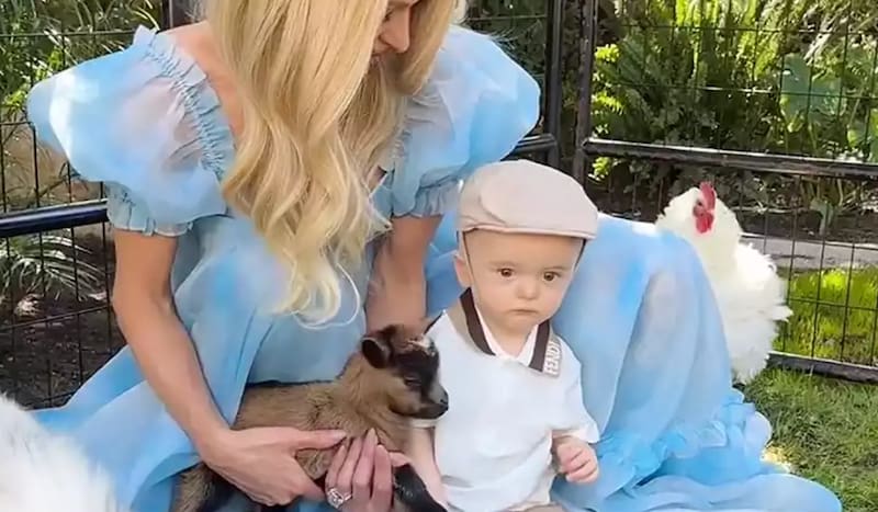Paris Hilton instaló un mini zoológico para el cumpleaños de su hijo.