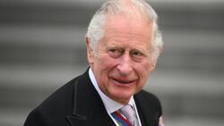 VIDEO: Rey Carlos III se enoja por mancharse de tinta al firmar un documento y se hace viral