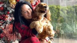 Ex de Alejandro Fernández celebra su cumpleaños lejos de sus hijos