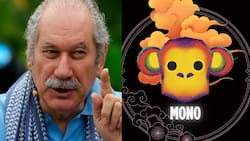 Horóscopo Chino 2024: ¿Qué predicciones da Pedro Engel para el Mono?