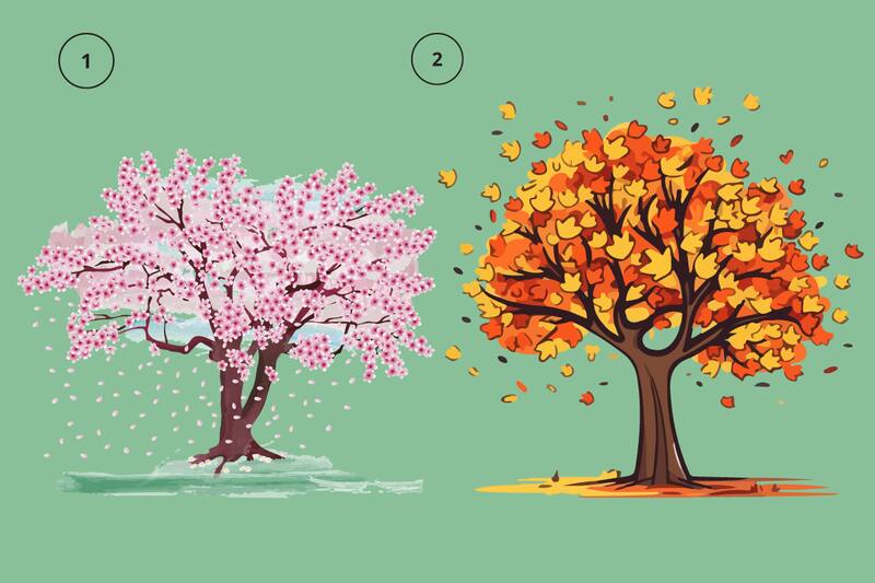 ¿Primavera u otoño?