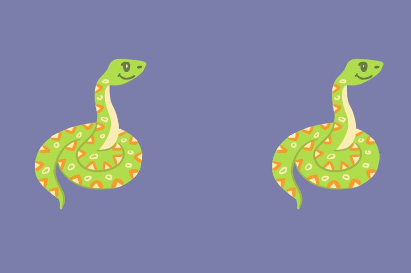 dibujos de serpientes.