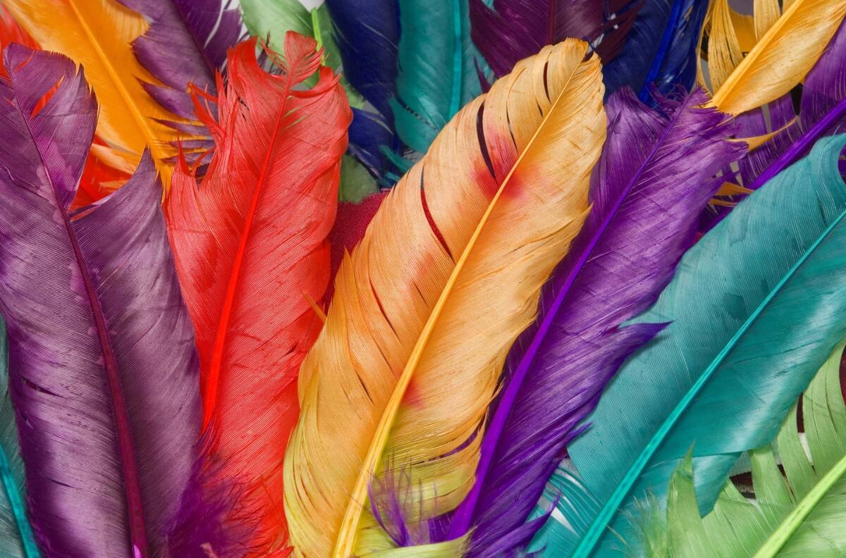 ¿Qué significa la aparición de las plumas y qué mensaje tiene según su color?