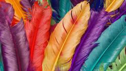 ¿Qué significa la aparición de las plumas y qué mensaje tiene según su color?