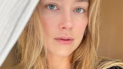 Amber Heard acusó a Johnny Depp de agredirla en un avión por celos hacia James Franco
