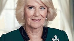 El hijo de Camila Parker crítica al príncipe Harry por las declaraciones que hizo en contra de su madre