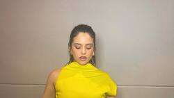 Ella es Libra: Rosalía, te contamos sus defectos según su signo zodiacal