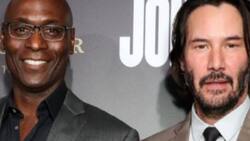 "John Wick 4", todo lo que debes saber: reparto, sinopsis, datos curiosos y tributo a Lance Reddick