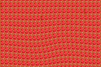 Acertijo visual: Encuentra las tachuelas en tan sólo 40 segundos