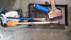 Vive Latino 2023: Red Hot Chili Peppers encabeza el'line up'