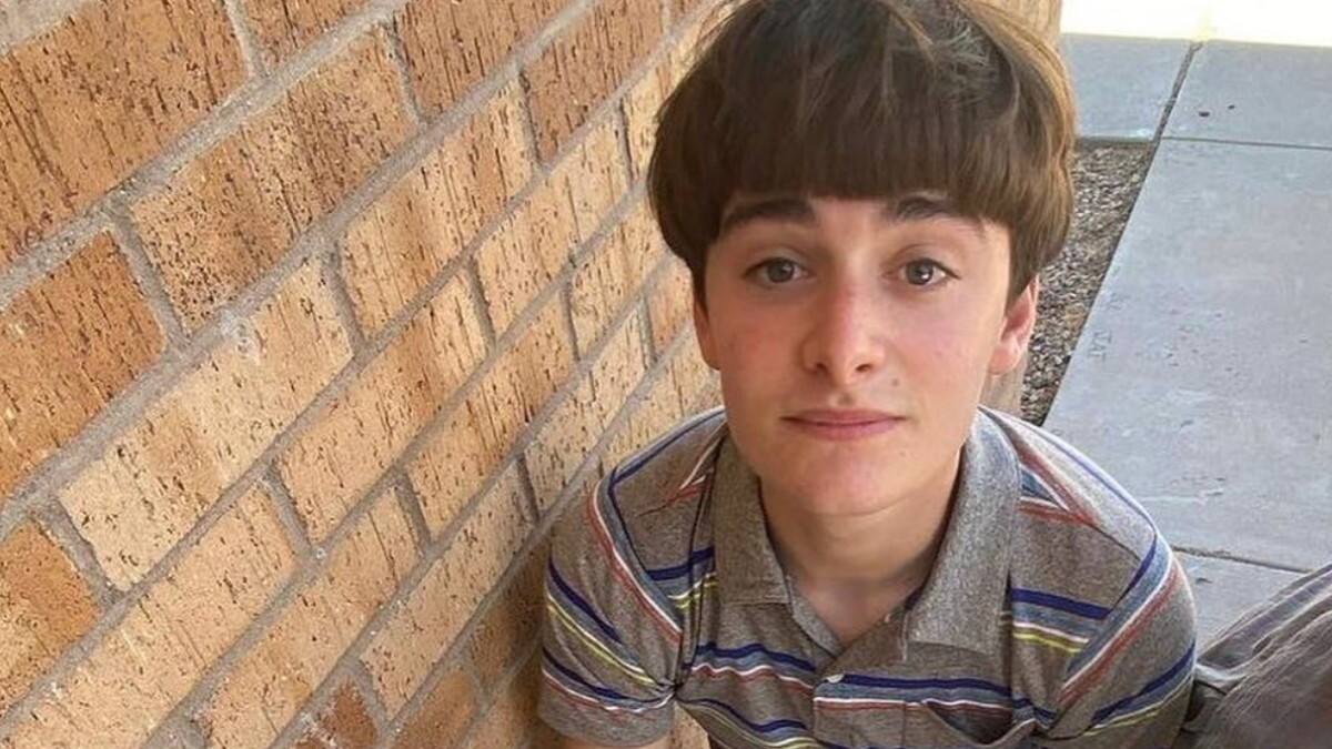 Noah Schnapp confirma que su personaje de “Stranger Things”, Mike, es gay