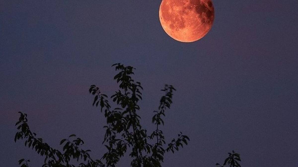 Luna Llena en Acuario: ¿Qué rituales puedo hacer en esta fase lunar?