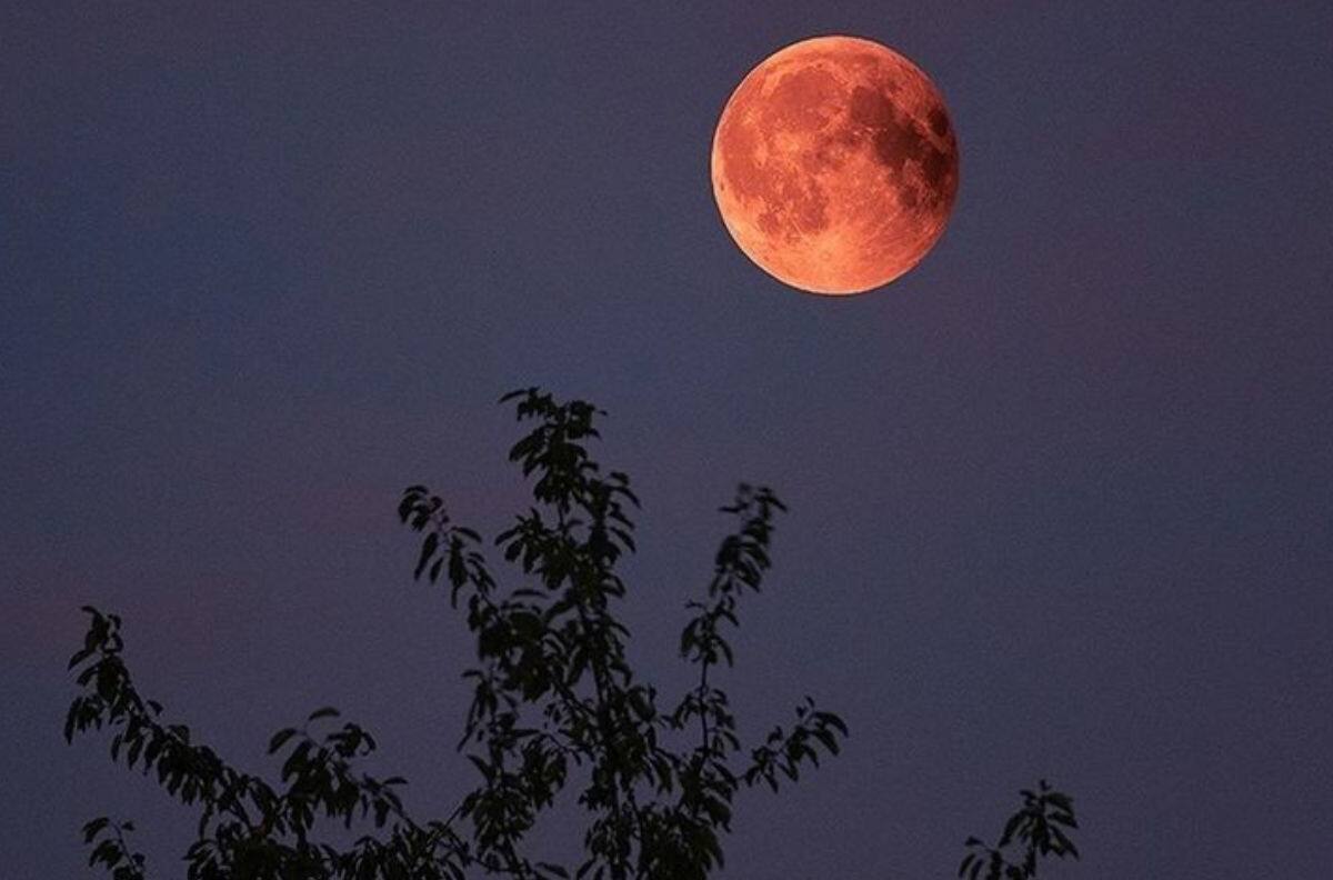 Luna Llena en Acuario: ¿Qué rituales puedo hacer en esta fase lunar?