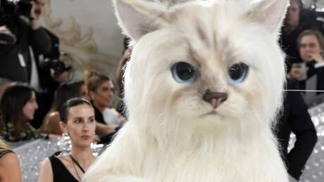 Met Gala 2023: Jared Leto y Doja Cat aparecieron vestido de gato en el evento