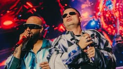 VIDEO | Jowell y Randy cierran su gira en Chile con un Movistar Arena repleto y un show de tres horas