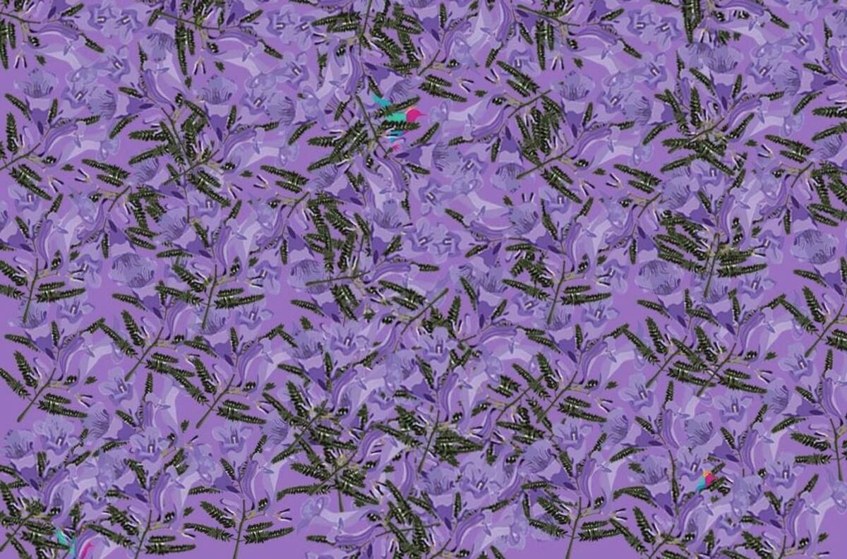 Acertijo visual: Encuentra los 5 colibrís en tan sólo 20 segundos