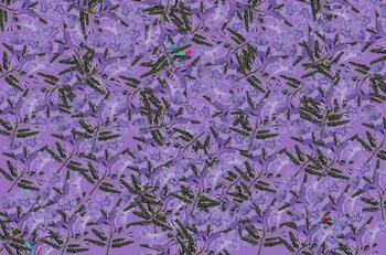 Acertijo visual: Encuentra los 5 colibrís en tan sólo 20 segundos