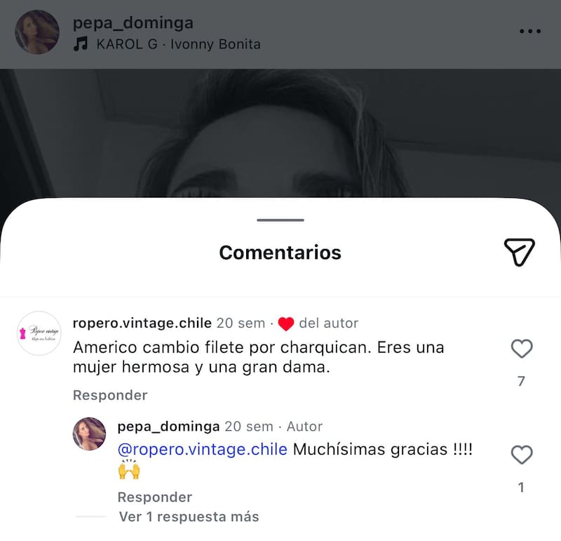 Post de Instagram.
Foto: Instagram @pepa_dominga