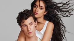 Camila Cabello y Shawn Mendes no regresan, pese a su romántico beso en Coachella