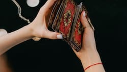 ¿Eres parte de los signos zodiacales más brujos?