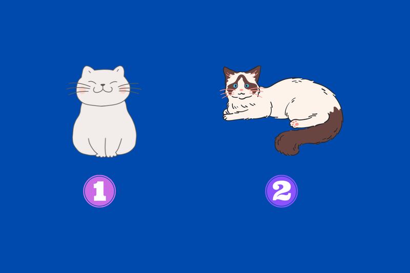 Dos alternativas: un gato sentado con una especie de sonrisa; y otro acostado mirando directamente.