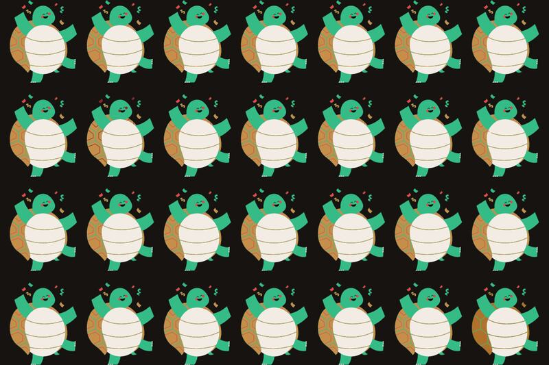 En este test visual hay muchas tortugas, y cuatro son diferentes.