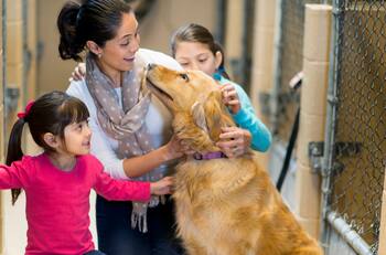 ¿Cuáles son los signos zodiacales que más posibilidades tienen de adoptar?