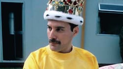 Últimas fotografías de Freddie Mercury con vida donde mostraba dolor y destrucción