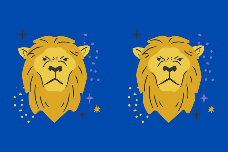 ¿Eres capaz de ver las diferencias entre los leones?