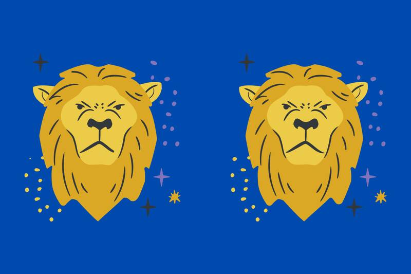 ¿Eres capaz de ver las diferencias entre los leones?
